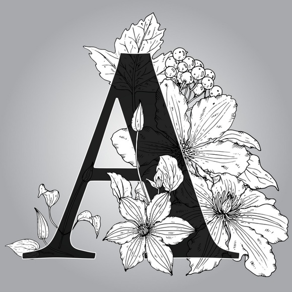 ambular317
